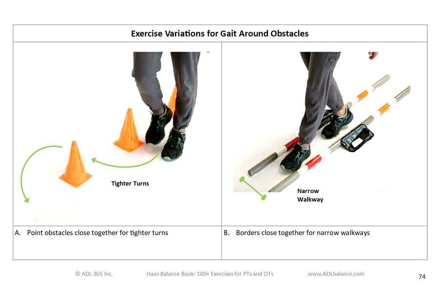 Crosswalk #3: Tinetti Performance Assessment and Haas Balance Book