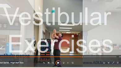 Vestibular Exercise Downloads - 12 Videos